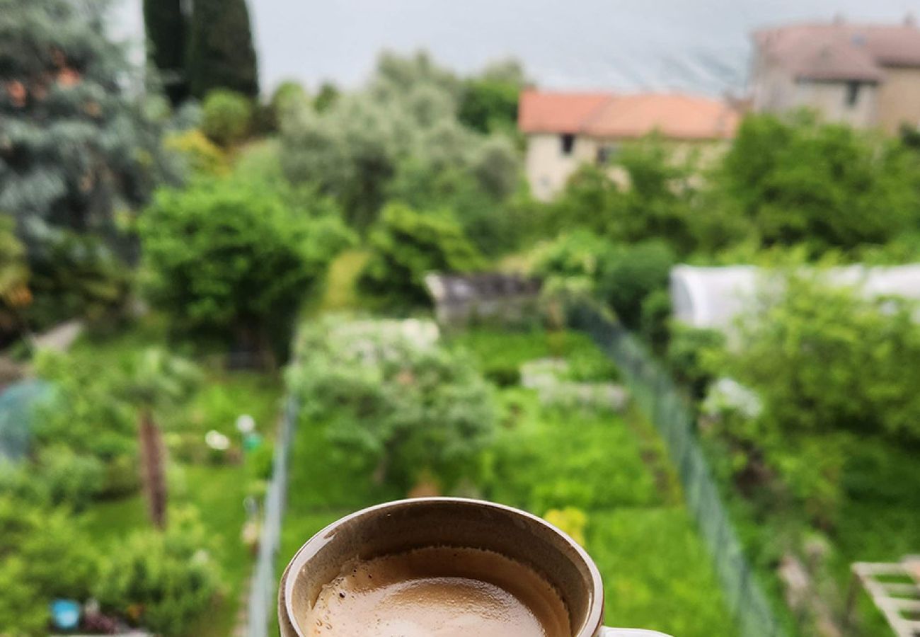 Ferienwohnung in Acquaseria - Lake House Como Ferienwohnung in Acquaseria - Lake House Como