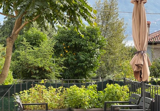 Appartamento a Acquaseria - Airconditioned 1-Bedroom Terrace Apartment Bello Posto Appartamento a Acquaseria - Airconditioned 1-Bedroom Terrace Apartment Bello Posto