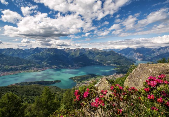 Villa a Menaggio - Villa Pergola Villa a Menaggio - Villa Pergola