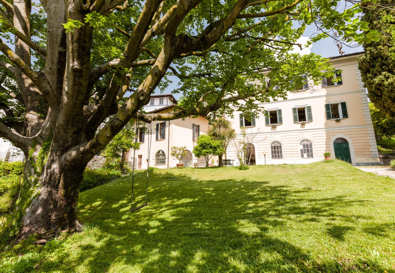 Appartement in Menaggio - Apartment La Pergola