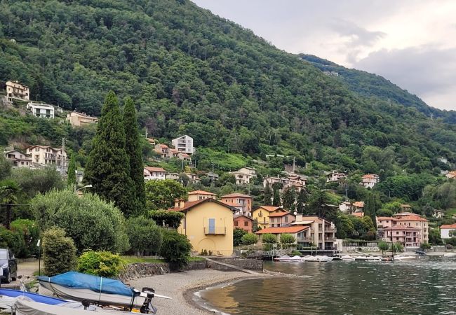 Studio in Acquaseria - Cipresso 19 Studio in Acquaseria - Cipresso 19