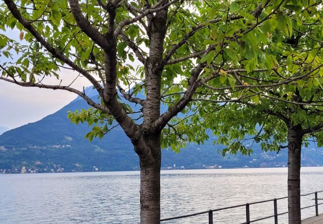 Studio in Acquaseria - Cipresso 19 Studio in Acquaseria - Cipresso 19