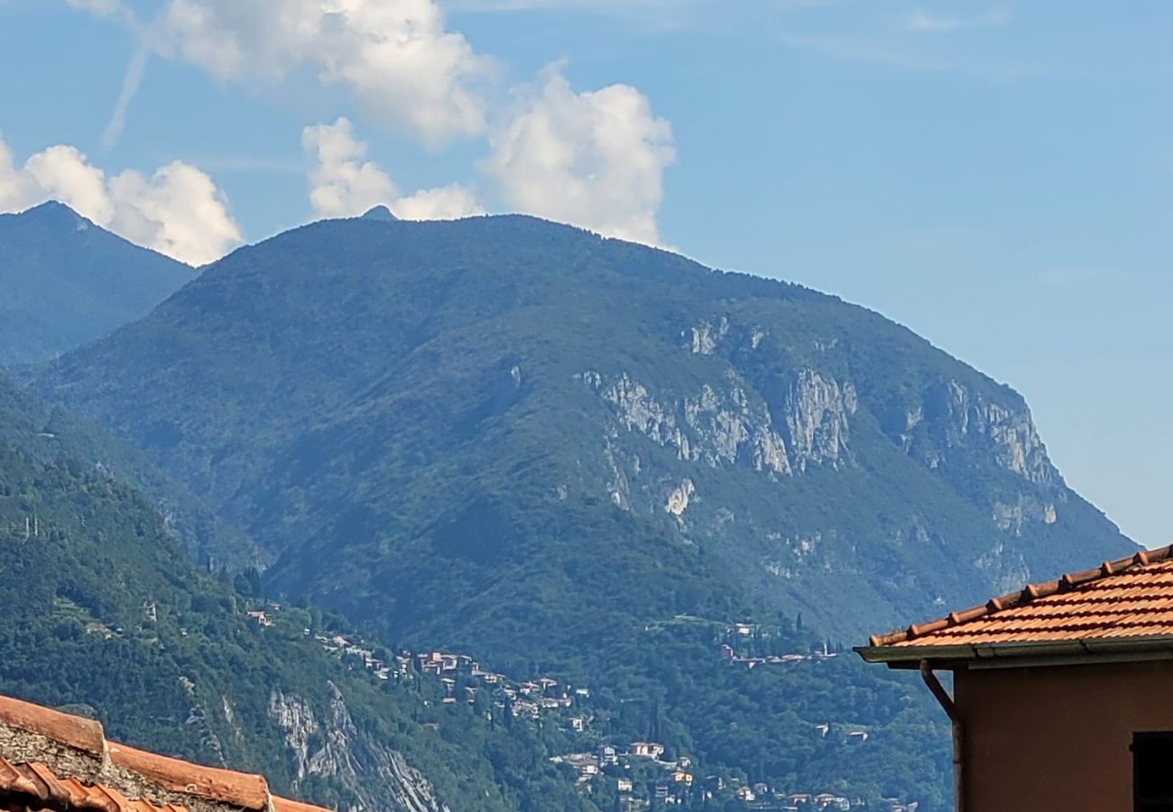 Studio in Acquaseria - Cipresso 19 Studio in Acquaseria - Cipresso 19