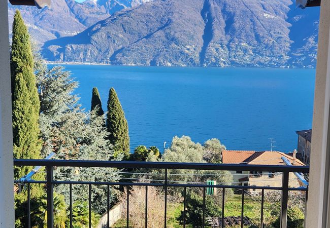 Apartment in Acquaseria - Lake House Como Apartment in Acquaseria - Lake House Como