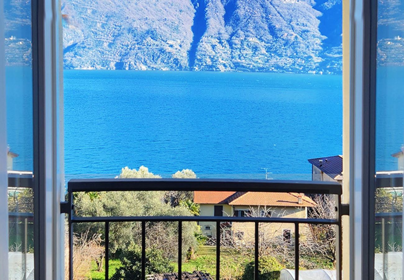 Apartment in Acquaseria - Lake House Como