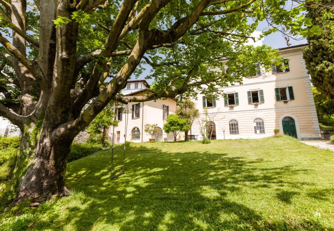 Apartment in Menaggio - Apartment La Pergola